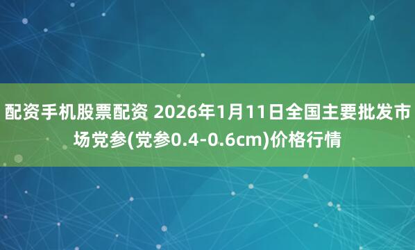 配资手机股票配资 2026年1月11日全国主要批发市场党参(党参0.4-0.6cm)价格行情