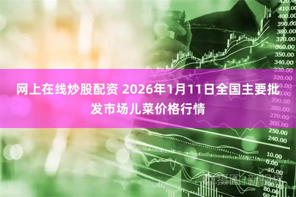 网上在线炒股配资 2026年1月11日全国主要批发市场儿菜价格行情